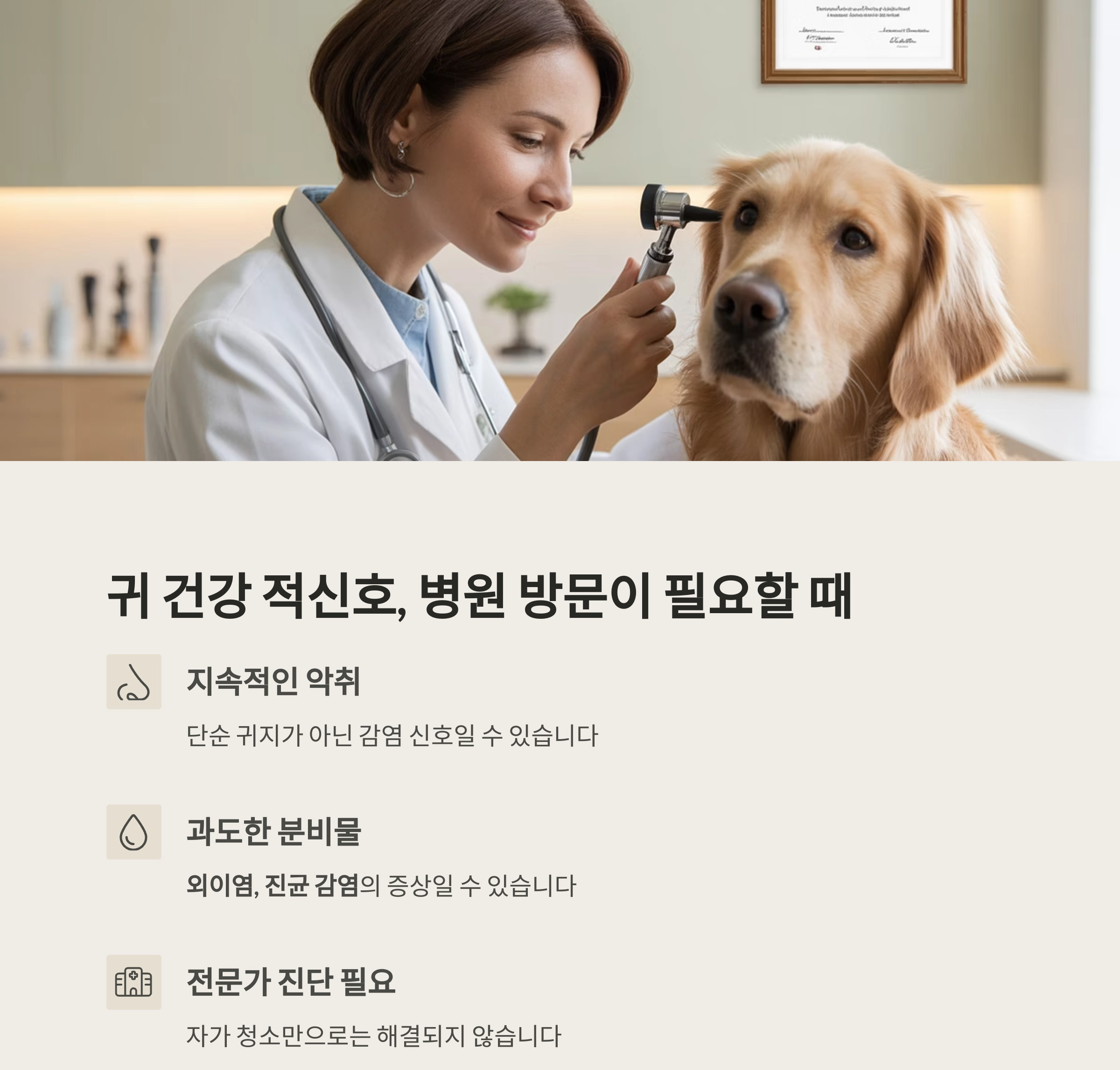 강아지 귀청소, 면봉은 금물! 전용 귀세정제가 필요한 이유