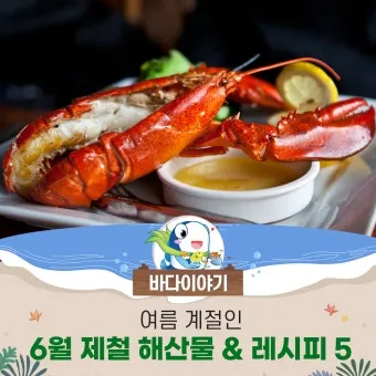 여름철 제철 해산물 추천 리스트 및 요리 활용법 안내_7