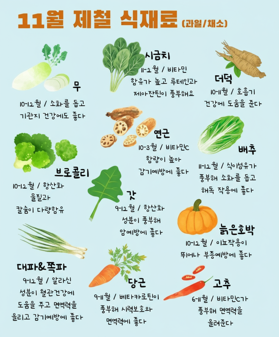 11월 제철 식재료