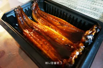 민물장어 가격 효능 민물장어 바다장어 차이 종류_9