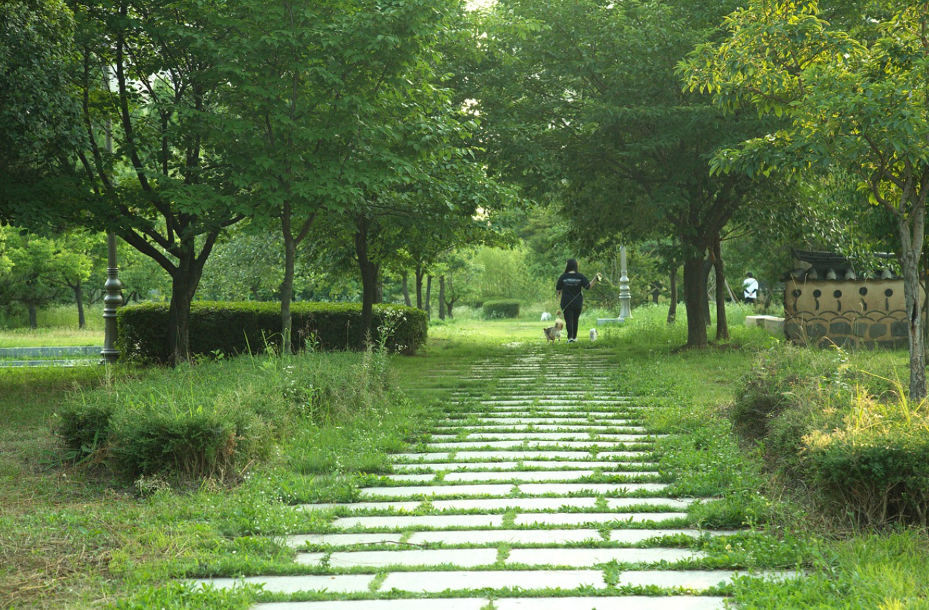 지금 시작해도 늦지 않은 건강 습관 공원에서 슬로우 조깅