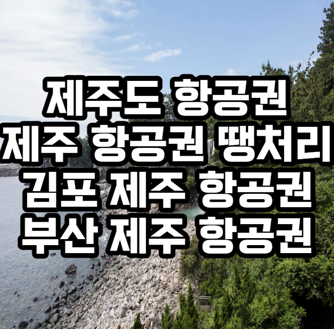 제주 항공권