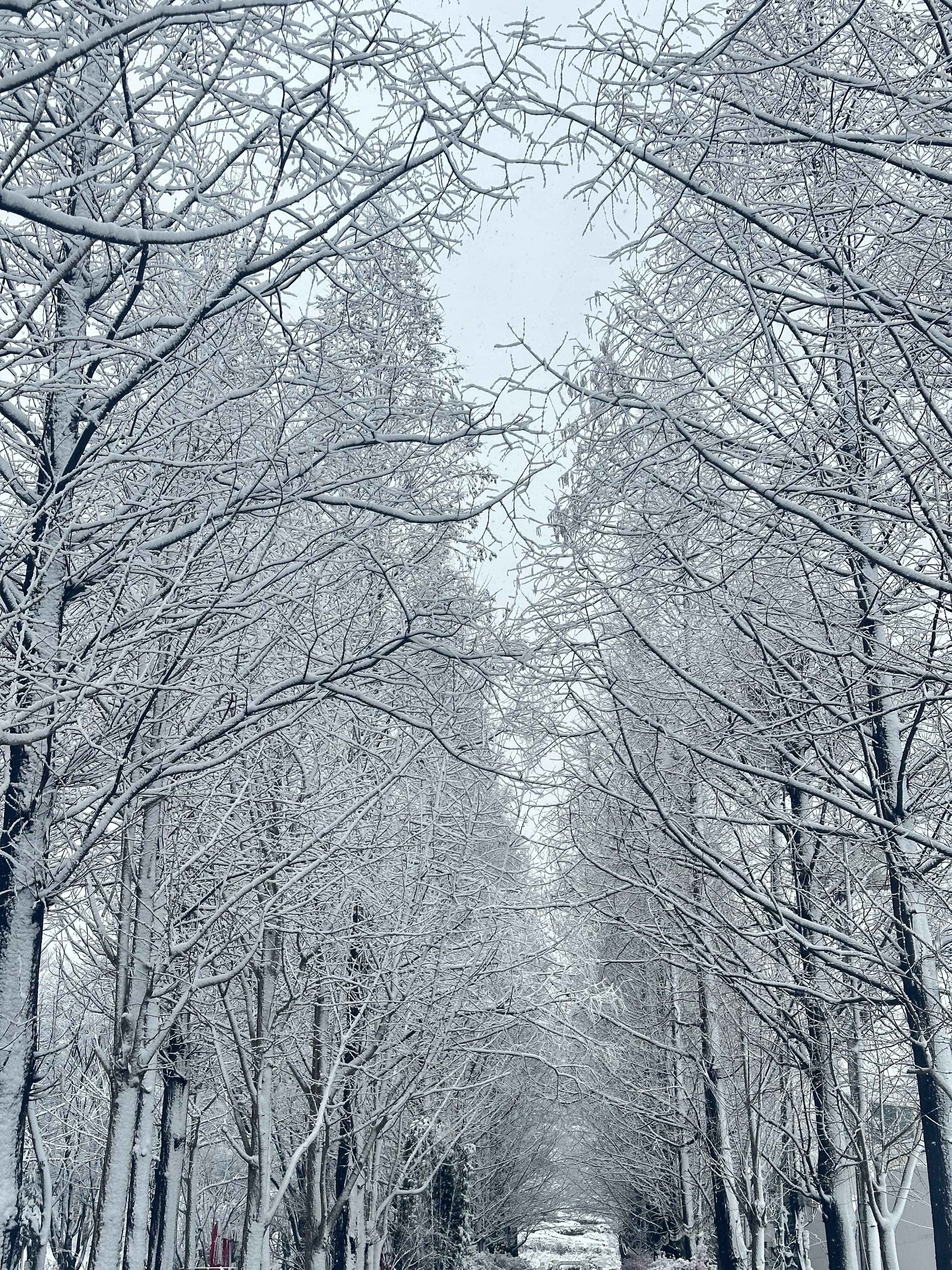 [충남 논산]사계절 내내 머물고 싶은 곳, 피나클랜드 수목원 이야기