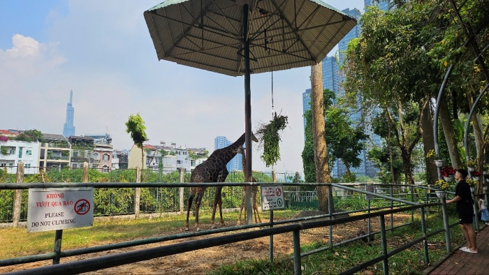 사이공동식물원5