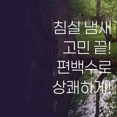 침실 탈취제 고민 끝! 살림백서 피톤..