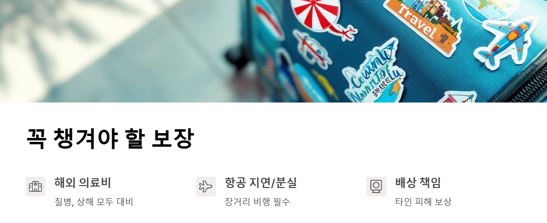 다이렉트 여행자 보험, 클릭 한 번으로 끝내는 여행 필수템