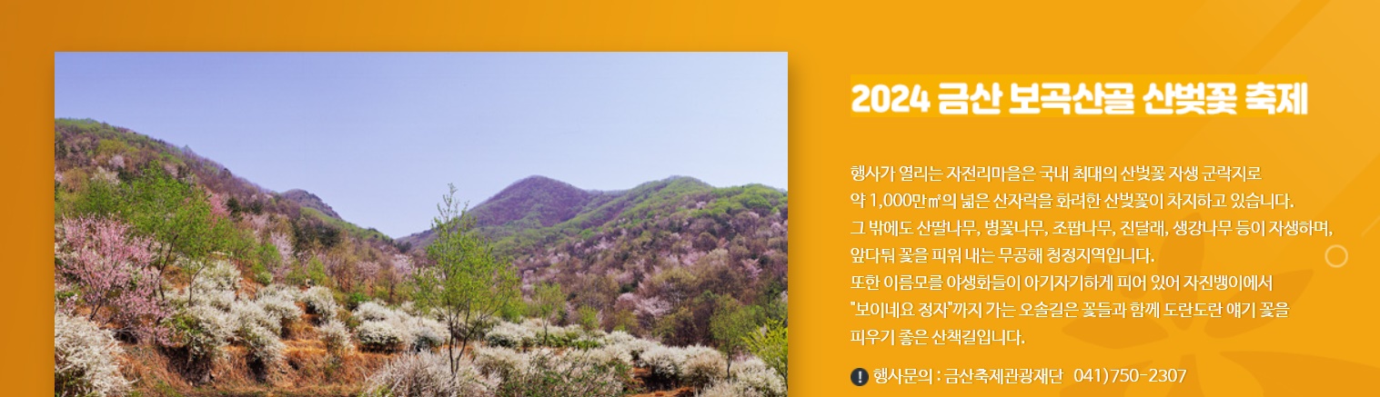 2024 휴애리 봄 수국축제 기간