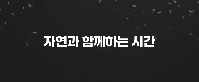 자연 속 힐링! 국립 생태탐방원 예약 방법 및 프로그램 안내