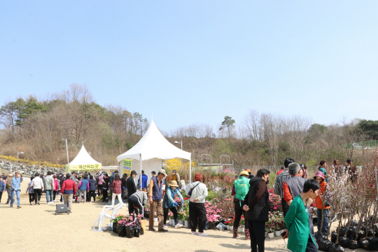 2024년 제 22회 옥천묘목축제 기본일정 및 프로그램 소개(민수현 안성훈 최은혜 김태웅 과일나무 출연) feat 과일나무 2만 그루 무료 나눔