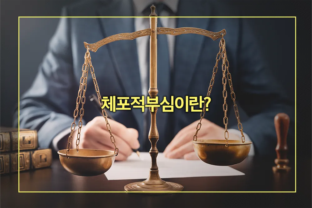 체포적부심 뜻