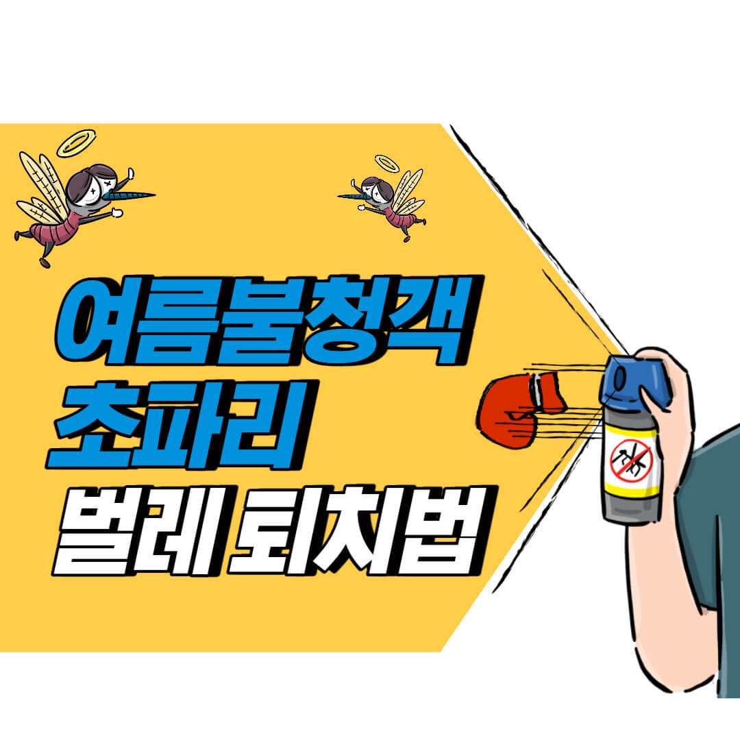 하수구 초파리 없애는 가장 쉬운 방법