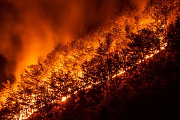 산불 실화 벌금과 처벌 수위