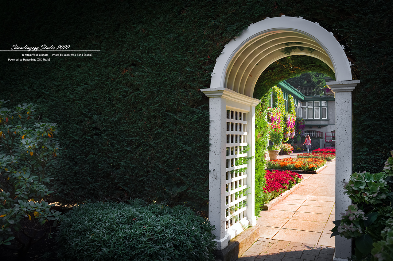 #캐나다 #밴쿠버섬 #호텔 #의사당 #부차드가든 #캐나다여행