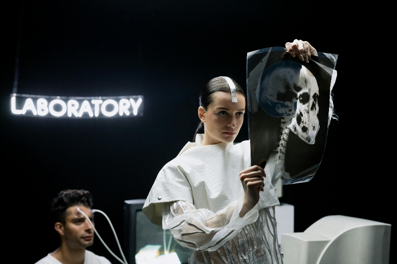 디카맥스디 정 주의해야 할 약 또는 음식