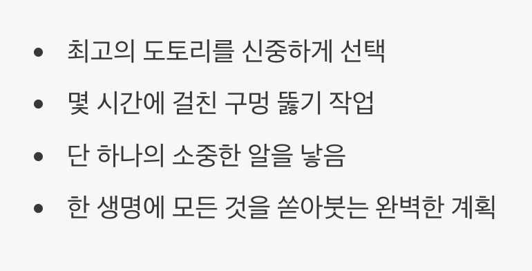 2. 완벽한 아기방을 위한 치밀한 계획