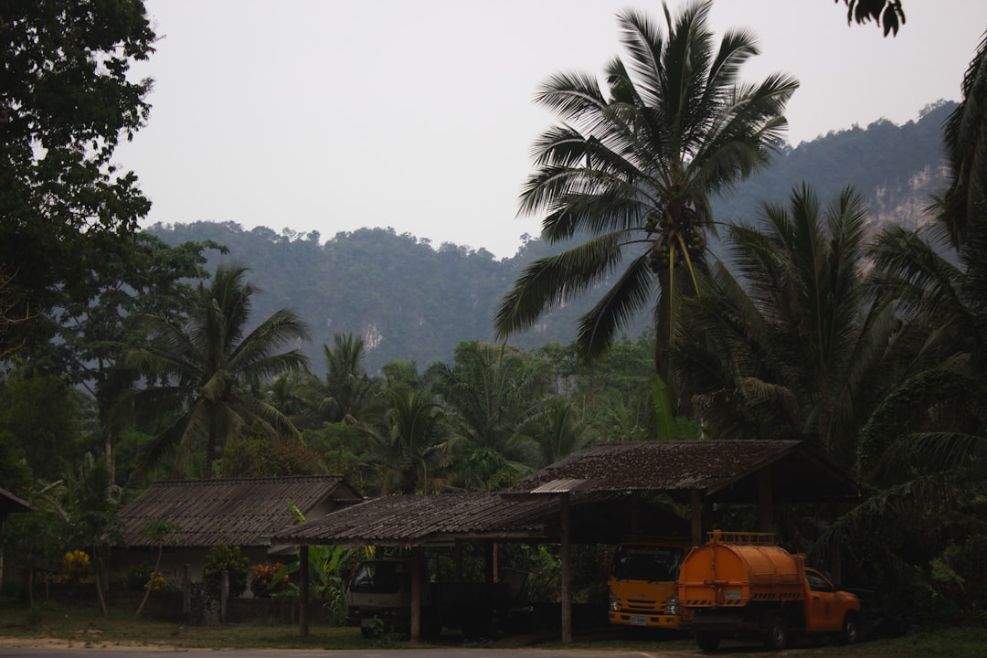 Osong