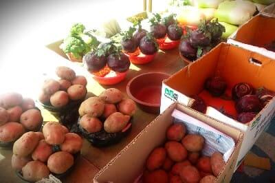 이천5일장-홍감자-수미감자