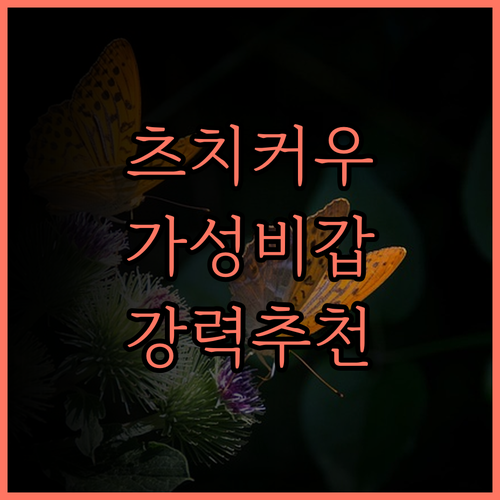 무쓰·찬수이몐 호텔(충칭 츠치커우 지
