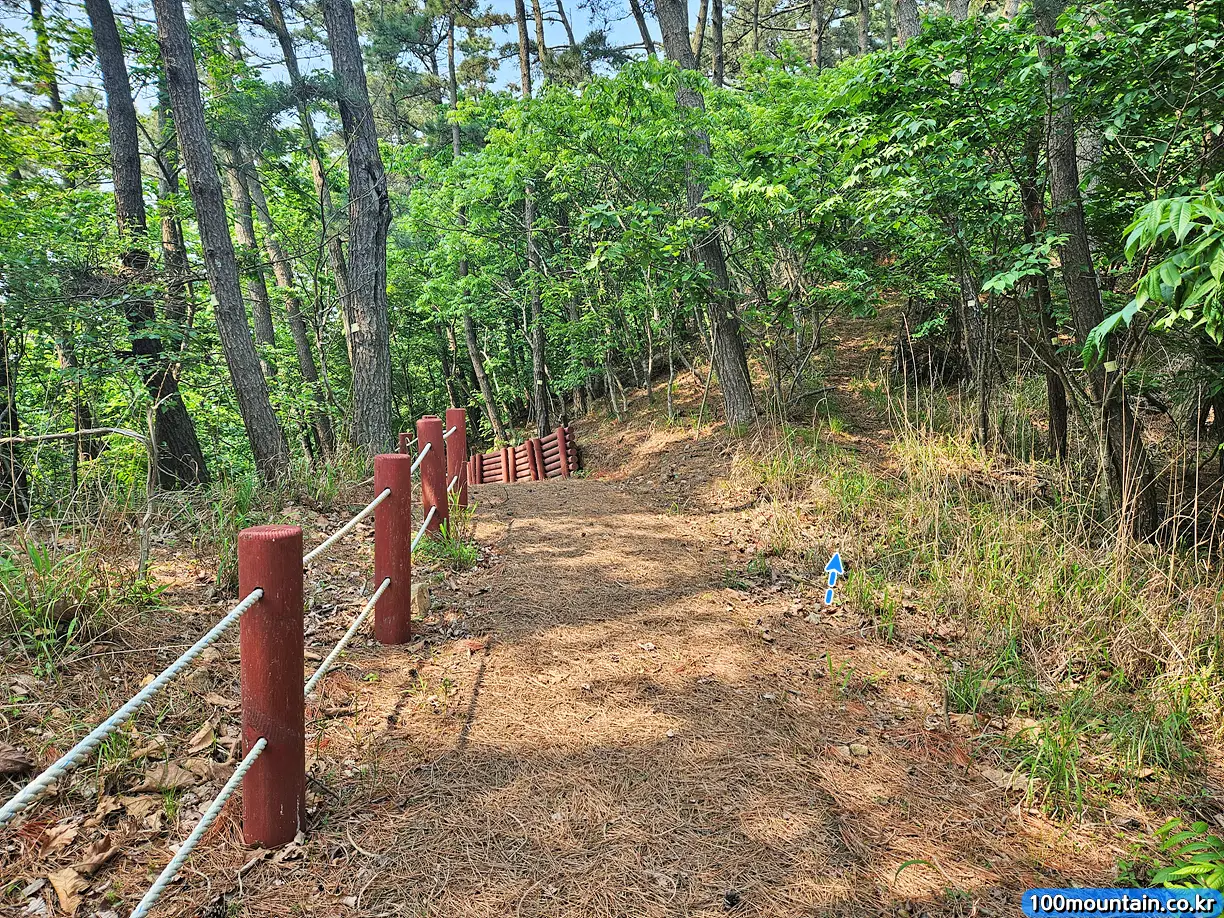 산길로