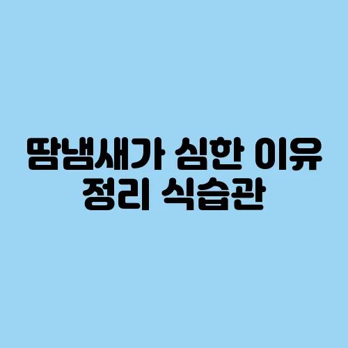 땀냄새가 심한 이유 정리 식습관, 호르몬, 위생까지 점검