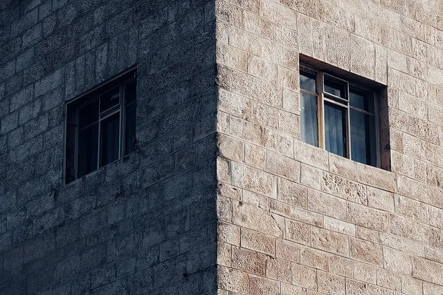 알고리즘 기반 콘텐츠 소비가 사고방식에 미치는 영향