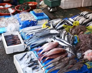 온누리상품권 판매처, 사용처_26