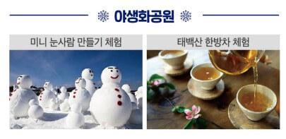 2023태백산눈축제