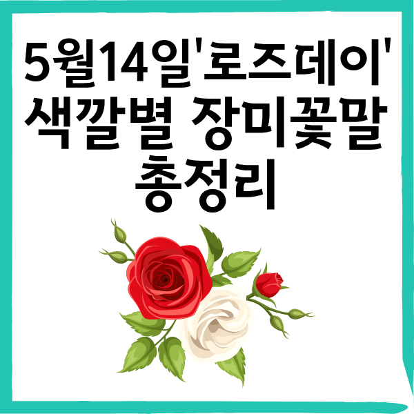 5월 14일 로즈데이! 색깔별 장미 꽃말