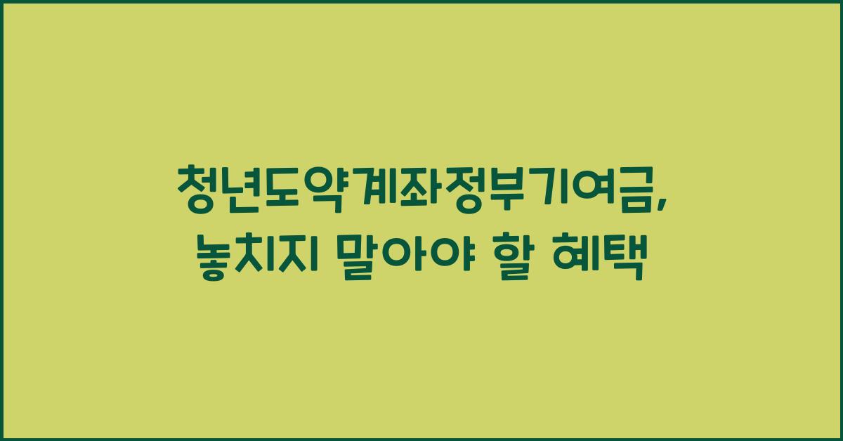 청년도약계좌정부기여금
