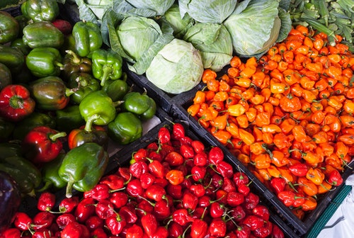 장염 및 위궤양