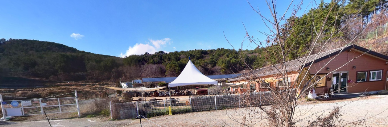 생방송오늘아침 이색체험카페 공룡타조랜드 경남 고성 가격 정보