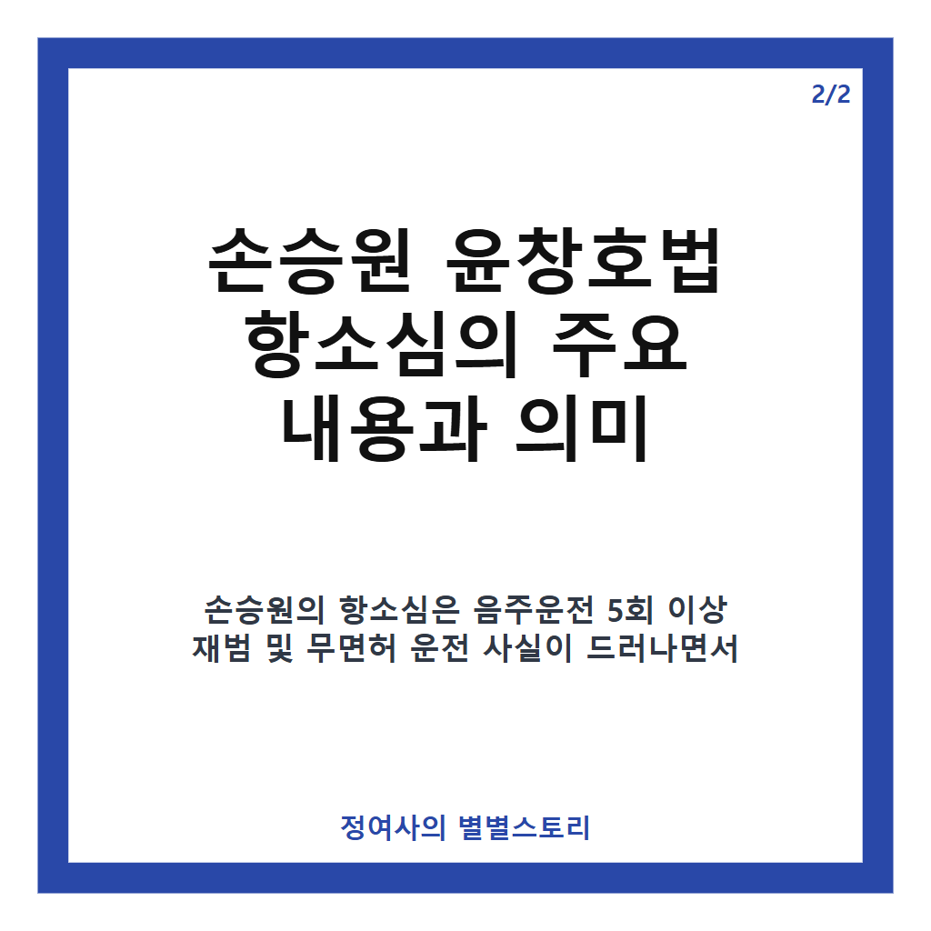 손승원 윤창호법 항소심 선고와 검찰 징역 4년 구형의 의미 분석 카드뉴스 3