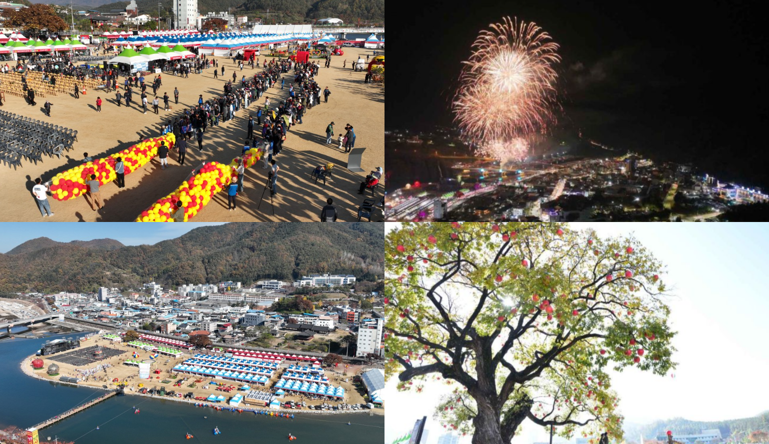 청송사과축제