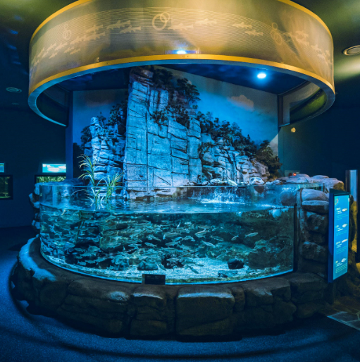 다누리아쿠아리움2