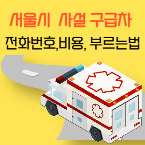 서울 사설 민간 구급차 전화번호, 비용, 부르는 법
