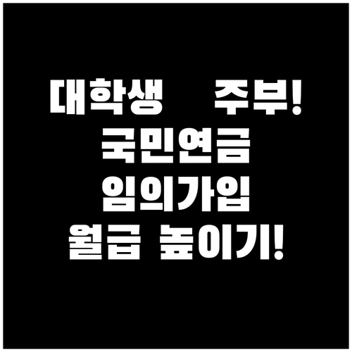 소득 없는 대학생 주부 국민연금 임의..
