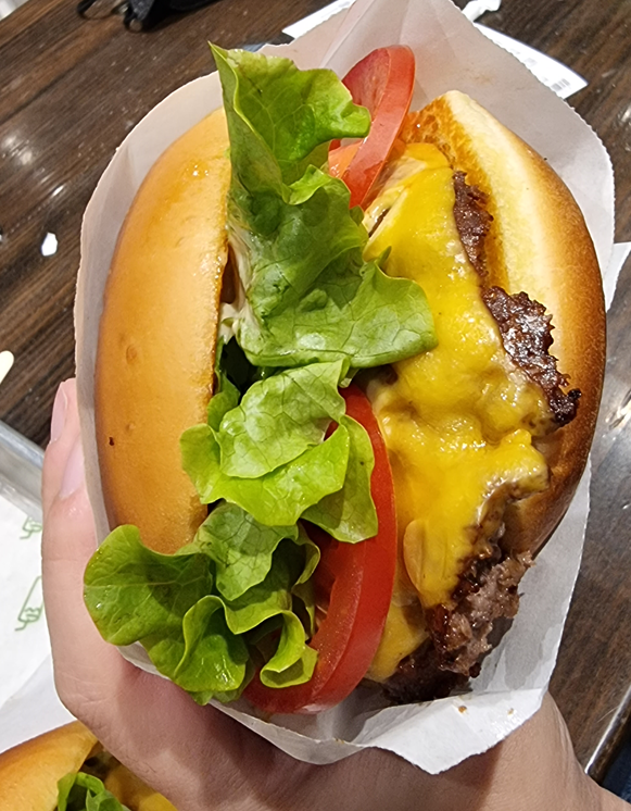 쉑쉑버거와 고양 블로썸