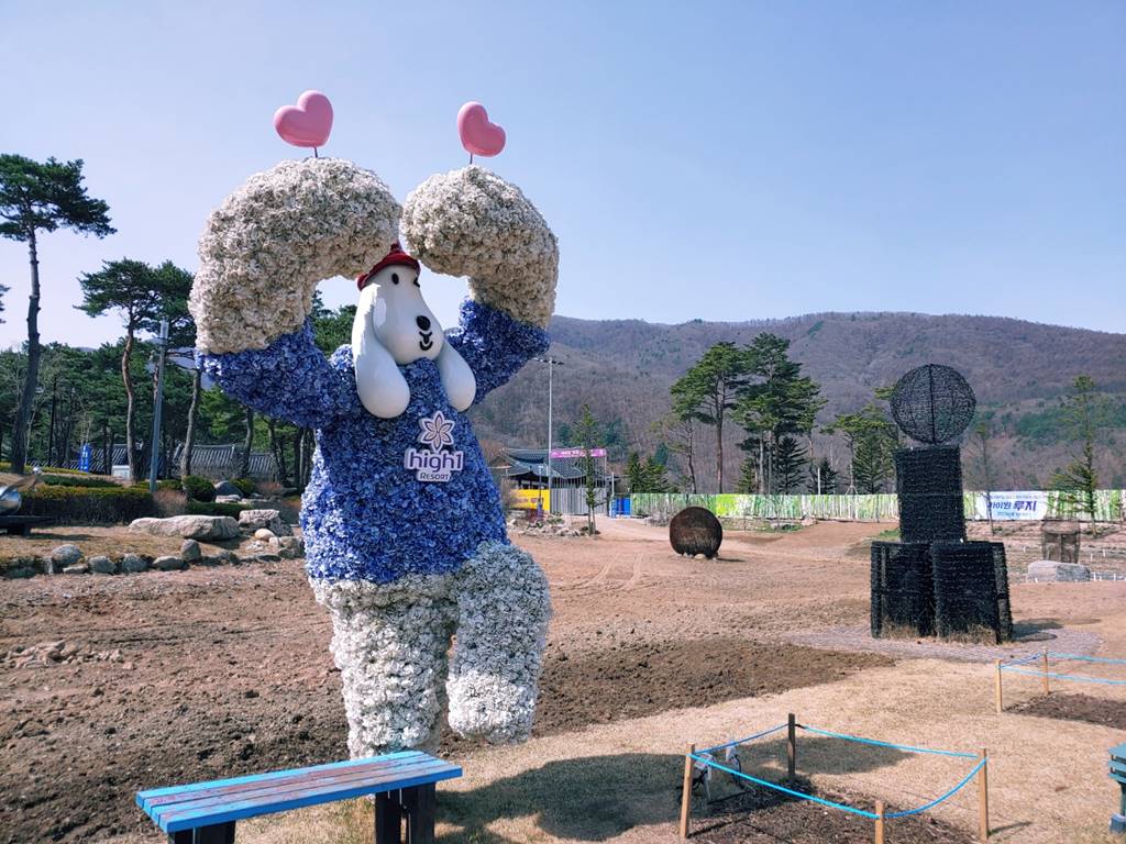 정선여행