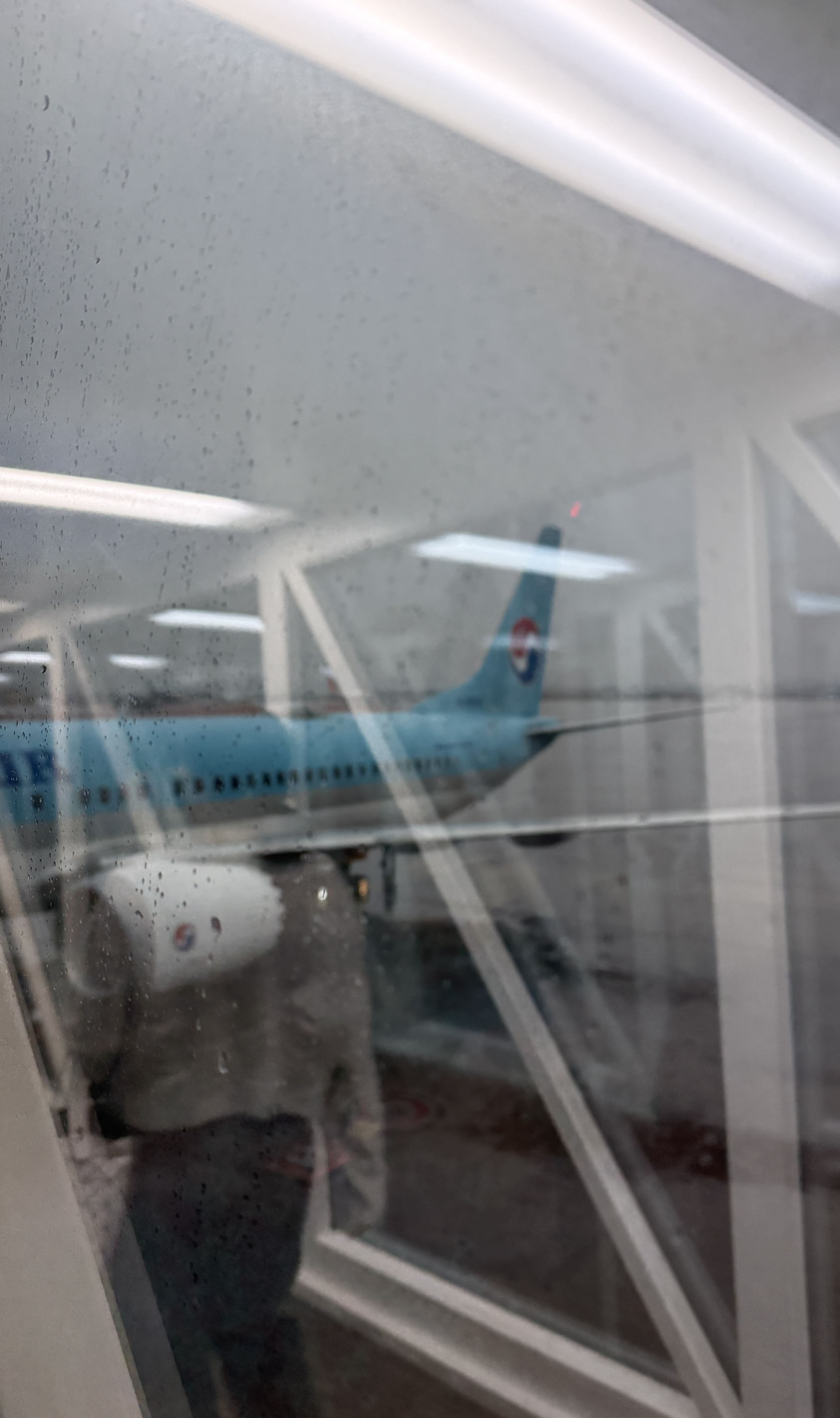 오사카 교토 3월 봄 여행, 대한항공 기내식