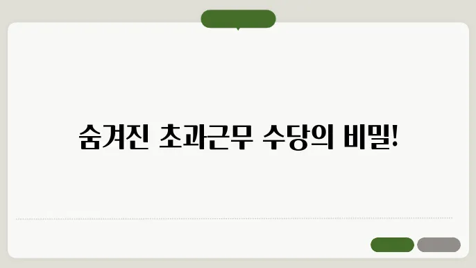 공무원 초과근무수당 지급 시 유의사항