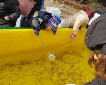 양평 수미마을 빙송어축제_6