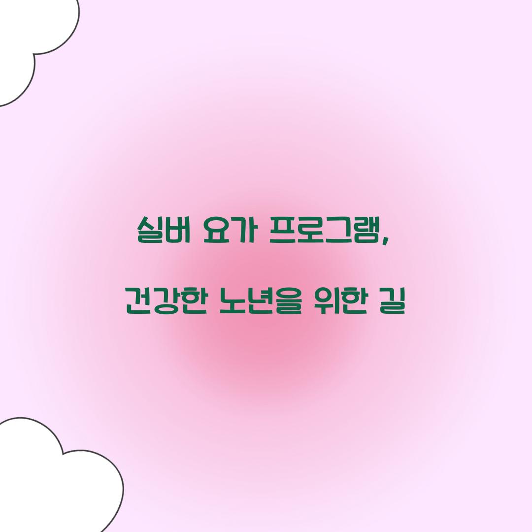 실버 요가 프로그램