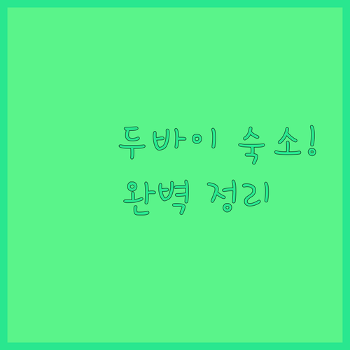 두바이 숙소 추천 럭셔리 호캉스부터 ..