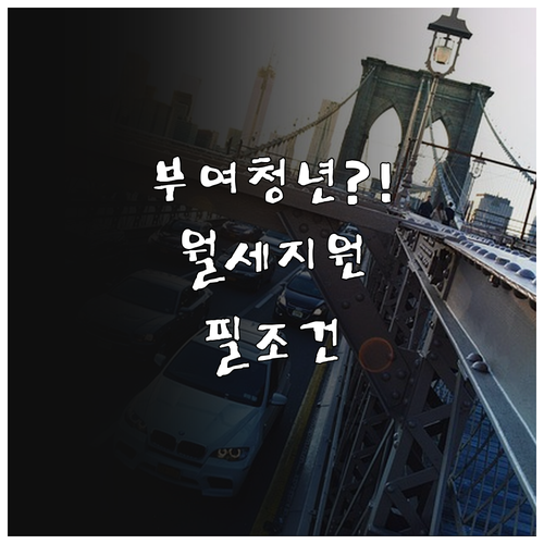부여군 청년월세지원 자격 조건과 서류..