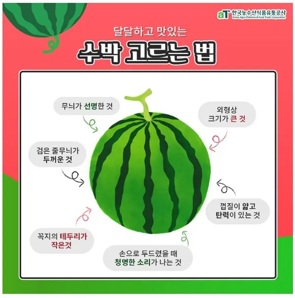 수박 효능_3