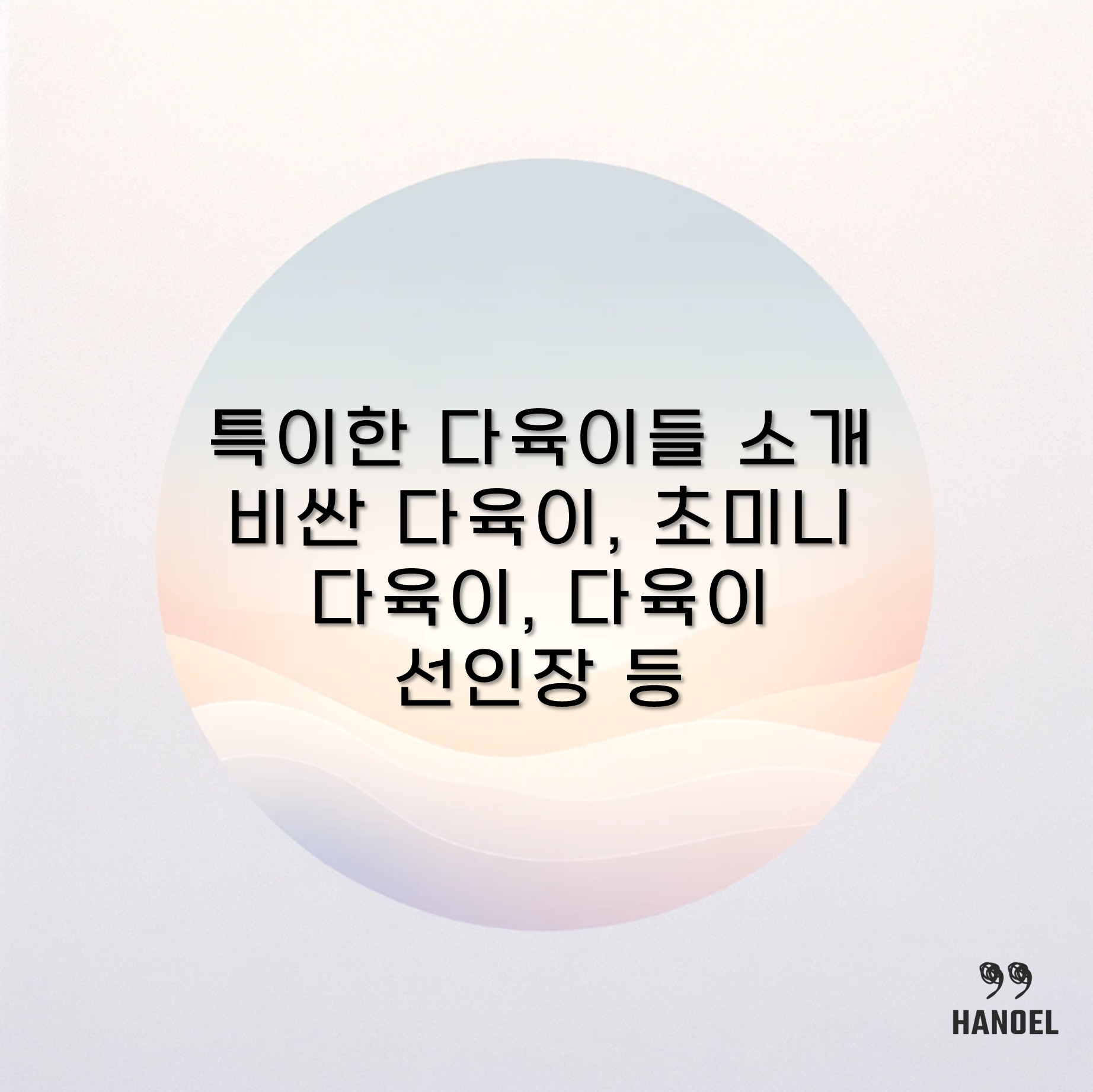 특이한 다육이들 소개 비싼 다육이, 초미니 다육이, 다육이 선인장 등