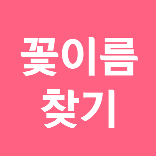 꽃이름 찾기