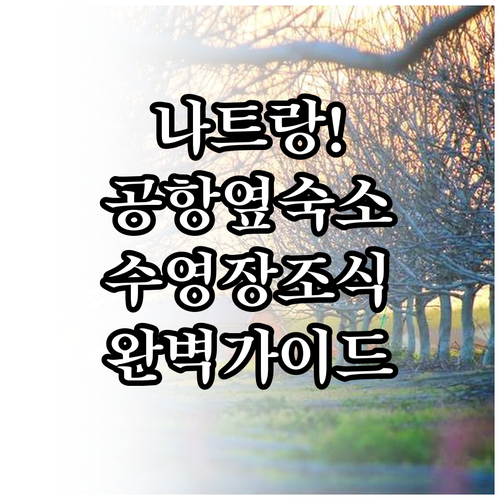 나트랑 여행 공항 근처 호텔 위치와 ..