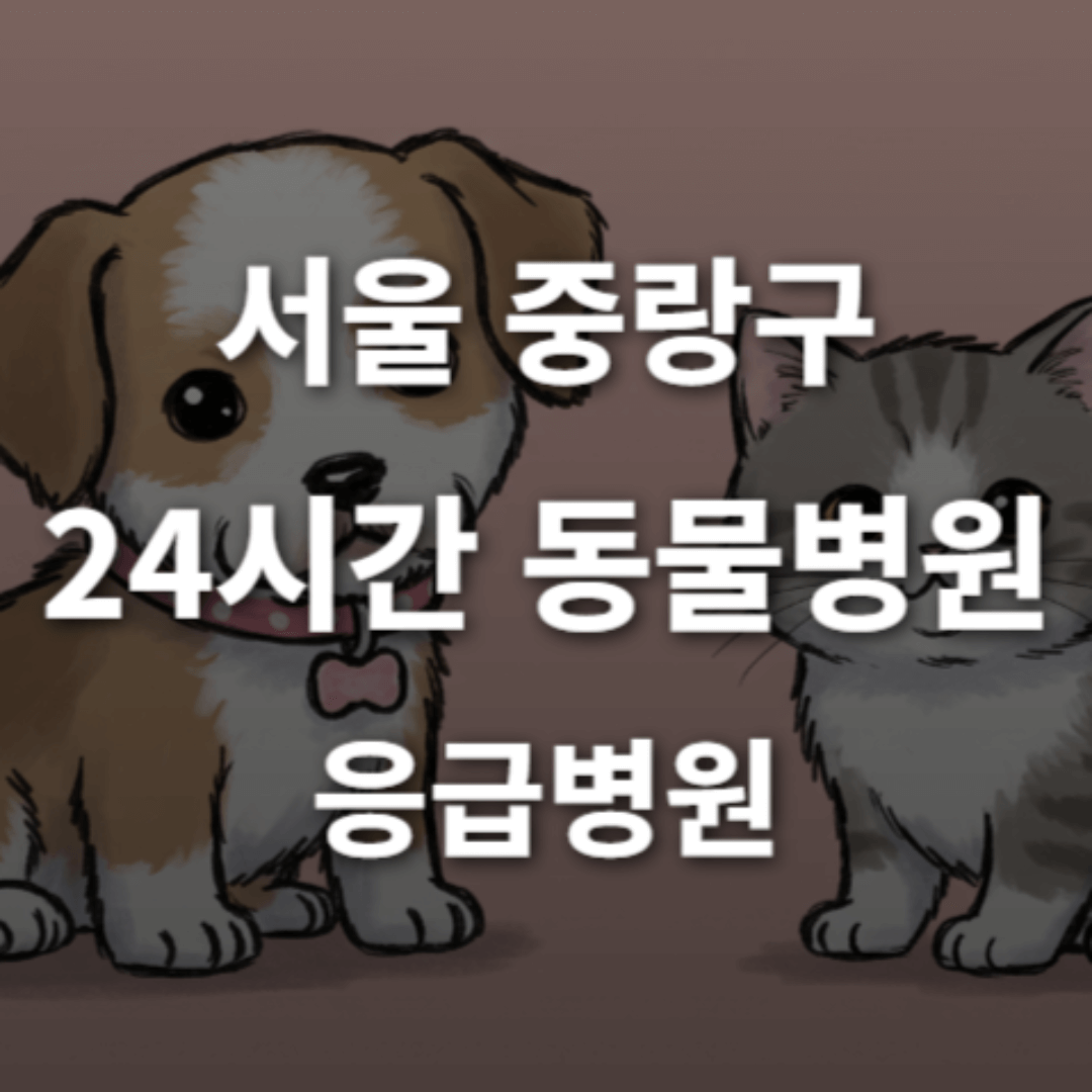 [서울 중랑구 24시간 동물병원(면목동)] 365일 연중무휴 반려동물 응급상황 대처 가능한 진료소