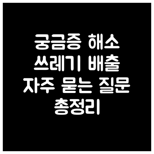 궁금증 해소! 쓰레기 배출 자주 묻는..